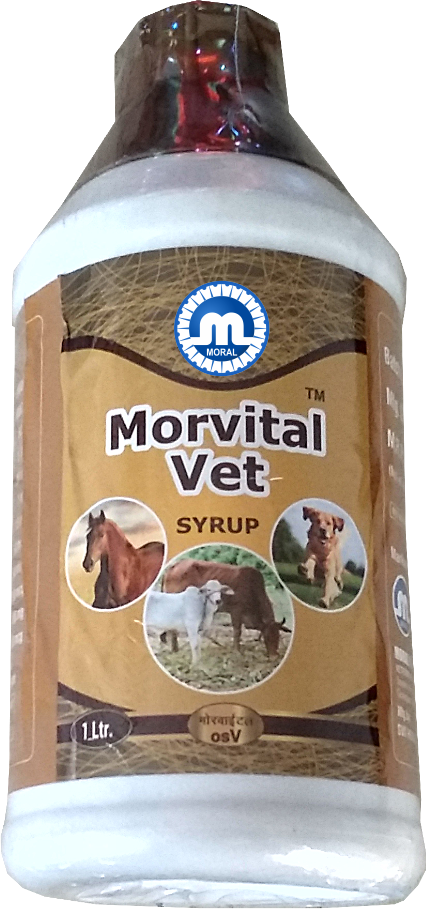 Morvital Vet